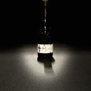 hautes-Cotes de beaune (rouge) - Domaine Dandelion - morgane-seuillot-christian-knott -2022