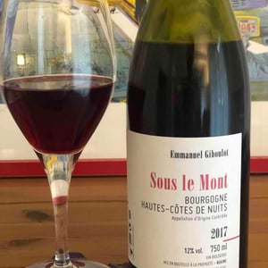 Hautes-Côtes-de-Nuits "Sous le Mont" Rouge - Domaine Emmanuel Giboulot - Emmanuel Giboulot 