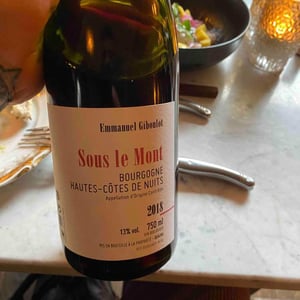 Hautes-Côtes-de-Nuits "Sous le Mont" Rouge - Domaine Emmanuel Giboulot - Emmanuel Giboulot 