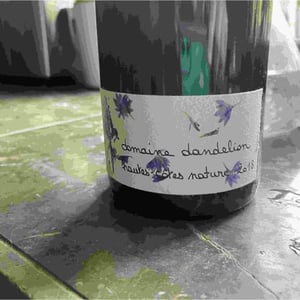 Domaine Dandelion - Morgane Seuillot & Christian Knott - Hautes Côtes Nature