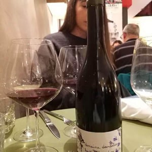 Domaine Dandelion - Morgane Seuillot & Christian Knott - Hautes Côtes Nature