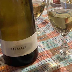 Carmeret - Domaine Lajibe - Jean-Baptiste Semmartin -2019