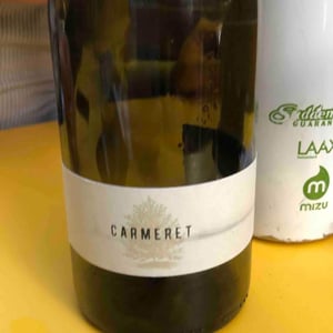 Carmeret - Domaine Lajibe - jean-baptiste-semmartin -2019