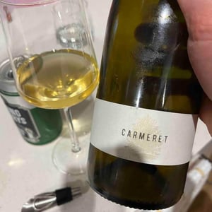 Carmeret - Domaine Lajibe - jean-baptiste-semmartin -2019