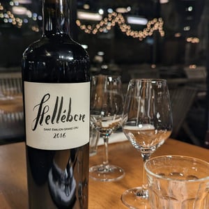 Hellébore - Vignobles Pueyo - christophe-pueyo