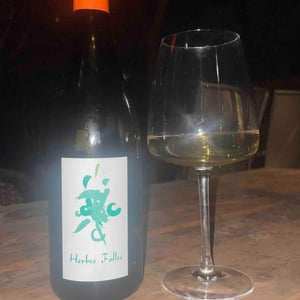 Herbes Folles - Clément Baraut - clement-baraut