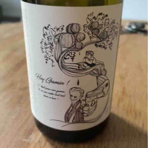 Hey Gamin! (2020 label) - François Saint-Lô - François Saint-Lô 