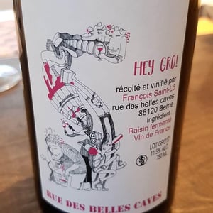 François Saint-Lô - François Saint-Lô - Hey Gro!!