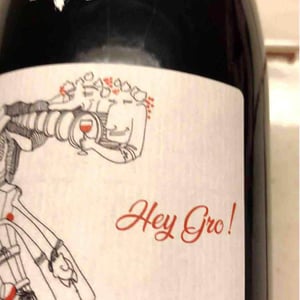 François Saint-Lô - François Saint-Lô - Hey Gro!!