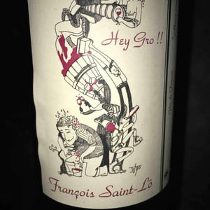 François Saint-Lô - François Saint-Lô - Hey Gro!!