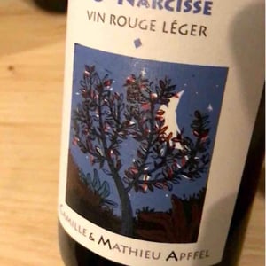 Ô Narcisse - Mathieu Apffel - Camille & Mathieu Apffel 