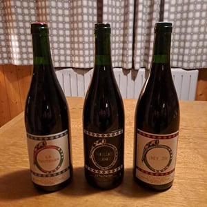 HeySo et Vieilles Vignes - La trutruka - jaufre-mas -2022