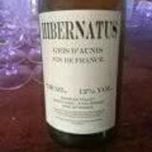 Domaine Le Clocher - Les Vins de Sainte Anne - Brendan & Sean Tracey - Hibernatus