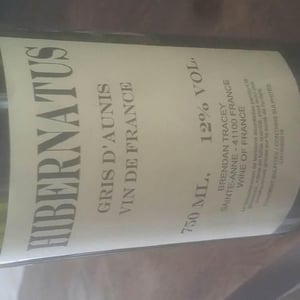 Hibernatus - Domaine Le Clocher - Les Vins de Sainte Anne - Brendan & Sean Tracey 