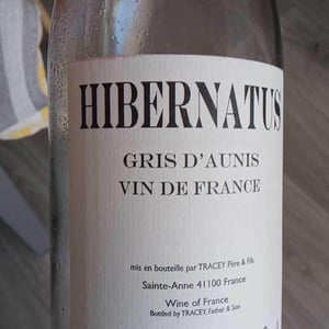 Domaine Le Clocher - Les Vins de Sainte Anne - Brendan & Sean Tracey - Hibernatus