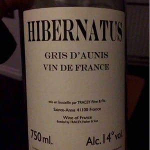 Domaine Le Clocher - Les Vins de Sainte Anne - Brendan & Sean Tracey - Hibernatus