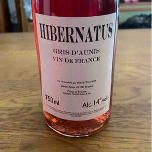 Hibernatus - Domaine Le Clocher - Les Vins de Sainte Anne - brendan-sean-tracey