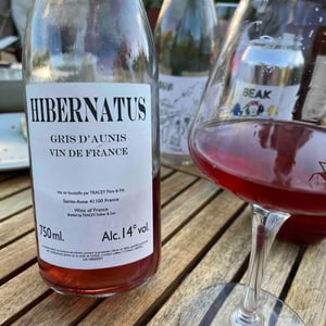 Hibernatus - Domaine Le Clocher - Les Vins de Sainte Anne - brendan-sean-tracey