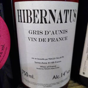 Hibernatus - Domaine Le Clocher - Les Vins de Sainte Anne - Brendan & Sean Tracey 