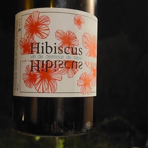 Hibiscus - La Ferme des Magesses - thomas-bouet