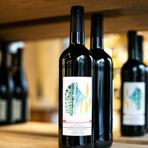 Ezo - Les Vins du Cabanon - alain-castex