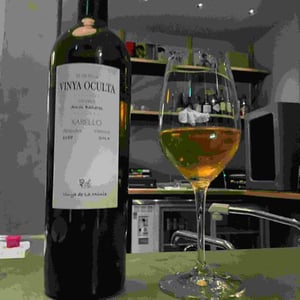 Vinya Oculta - Amós Bañeres - Vinya Oculta