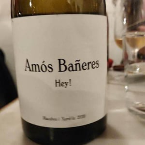 Vinya Oculta - Amós Bañeres - Vinya Oculta