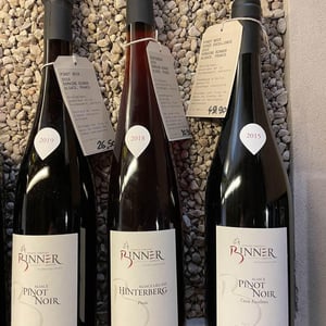 Hinterberg - Pinots - Domaine Christian Binner - christian-binner-et-son-equipe