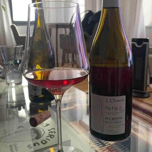 Hip Hip J... (Poulsard) - Domaine de l'Octavin - Alice Bouvot 