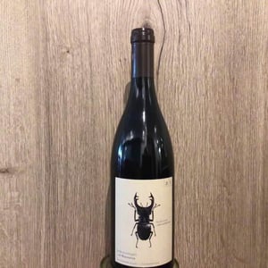 Hirschkäfer - Sauvignon Blanc/Chardonnay - Weingut Andreas & Elisabeth Tscheppe - Andreas & Elisabeth Tscheppe 