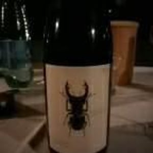 Hirschkäfer - Sauvignon Blanc/Chardonnay 2013