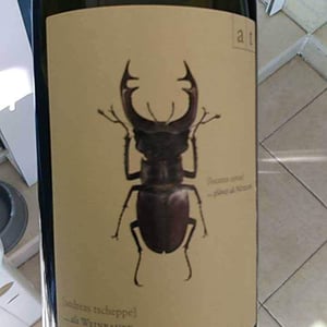 Weingut Andreas & Elisabeth Tscheppe - Andreas & Elisabeth Tscheppe - Hirschkäfer - Sauvignon Blanc/Chardonnay