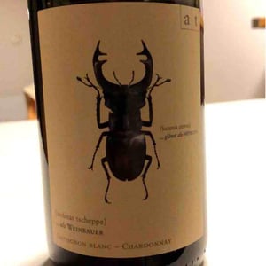 Hirschkäfer - Sauvignon Blanc/Chardonnay - Weingut Andreas & Elisabeth Tscheppe - andreas-elisabeth-tscheppe