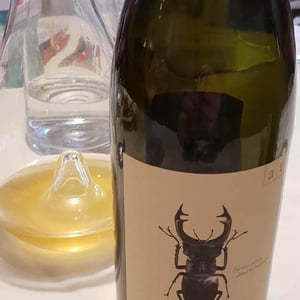 Weingut Andreas & Elisabeth Tscheppe - Andreas & Elisabeth Tscheppe - Hirschkäfer - Sauvignon Blanc/Chardonnay