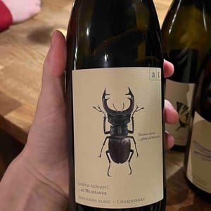 Hirschkäfer - Sauvignon Blanc/Chardonnay - Weingut Andreas & Elisabeth Tscheppe - Andreas & Elisabeth Tscheppe 