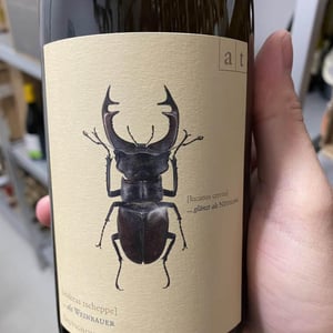 Hirschkäfer - Sauvignon Blanc/Chardonnay - Weingut Andreas & Elisabeth Tscheppe - Andreas & Elisabeth Tscheppe 