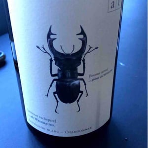 Hirschkäfer - Sauvignon Blanc/Chardonnay - Weingut Andreas & Elisabeth Tscheppe - andreas-elisabeth-tscheppe