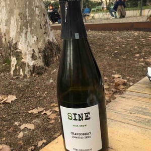 Sine - La Graine Sauvage - sybil-baldassarre