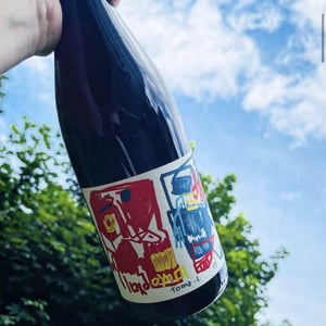Historia de VI X Tuets - Vin des Potes - basile-passe