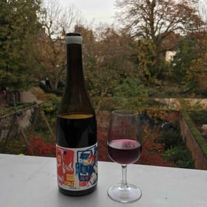 Historia de VI X Tuets - Vin des Potes - basile-passe