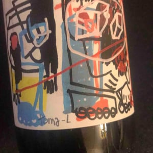 Vin des Potes - Basile Passe - Historia de VI X Tuets