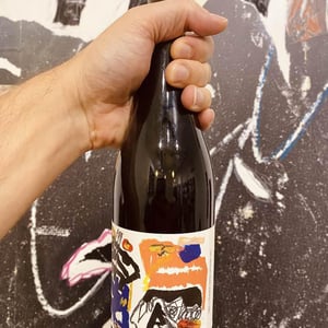 Historia de VI X Tuets - Vin des Potes - basile-passe