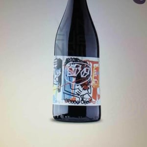 Vin des Potes - Basile Passe - Historia de VI X Tuets