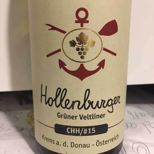 Hollenburger Grüner Veltliner - Christoph Hoch - Christoph & Julie-Ann Hoch 