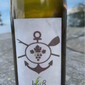 Hollenburger Grüner Veltliner - Christoph Hoch - Christoph & Julie-Ann Hoch 