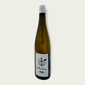 Hollenburger Riesling - Christoph Hoch - christoph-julie-ann-hoch -2019