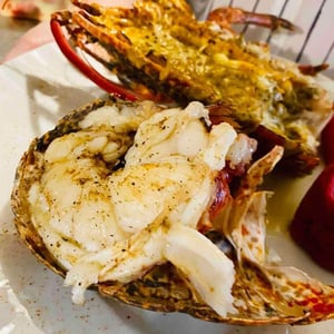 Homard Bleu Breton - Les Bouchons - 298406