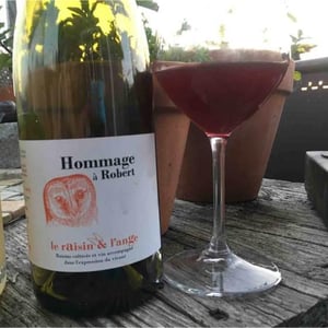 Hommage à Robert (label 1 before 2015) - Le Raisin et l'Ange - gilles-antonin-azzoni