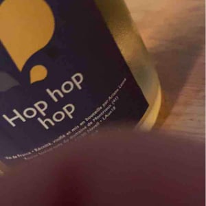 Hop Hop Hop - Ariane & Co / Goût à goutte - Ariane Lesné 