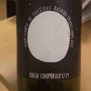 Horizonte de sucesos - Bodega Cohombrillo - bodega-cohombrillo -2022